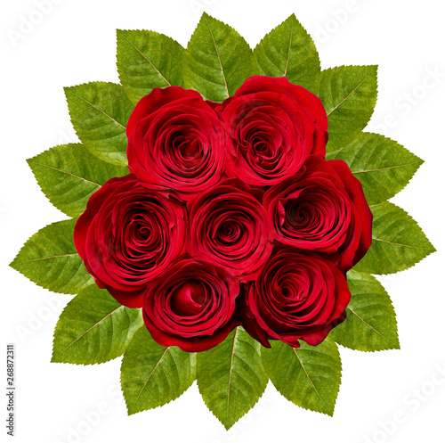 flower rose petal blossom red nature beautiful background