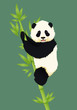 Happy smiling baby giant panda climbing green bamboo tree. Black and white chinese bear cub. Rare, vulnerable species.