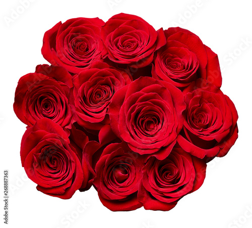 flower rose petal blossom red nature beautiful background