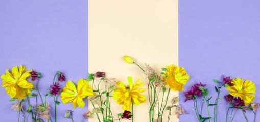 Wall Mural - Floral summer spring background, A bouquet of abstract gold and purple flowers on a pastel color background