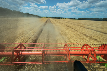 Aufkleber - View of the field of wheat from the cab of, a combine harvester on a sunny day.