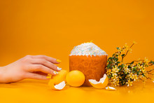 Easter Cake, Eggs And Willow On A Yellow Background