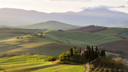  hills and fields of Val d'Orcia in Tuscany at sunrise
