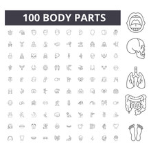 Body Parts Anatomy Line Icons, Signs, Vector Set, Outline Concept Illustration