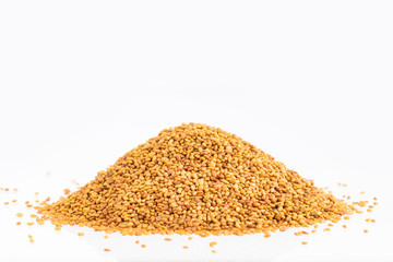 Organic seeds of alfalfa - Medicago sativa