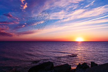 Wall Mural - beautiful sunset on the sea and the heart in the sun from the silhouettes of birds