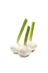 Wall Mural - three garlic bulbs on a white background