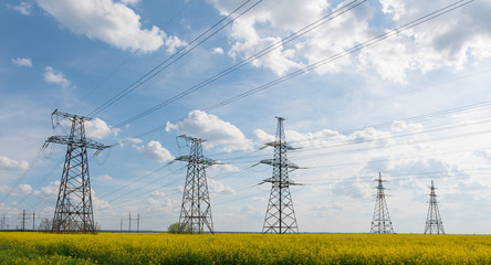 Wall Mural - power lines and high-voltage lines against the backdrop of blooming oilseed rape on a summer day.