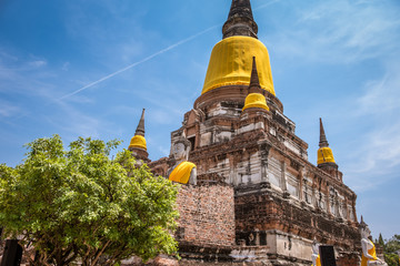 Wall Mural - Ruin Pagoda at Wat Yai Chaimongkol in Ayutthaya ,Thailand.