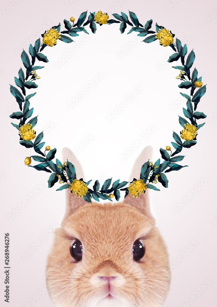 かわいいうさぎのグラフィックフレーム Wall Mural Wallpaper Murals Studio I M S