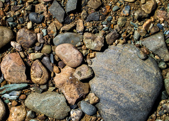 Wall Mural - Stones on the ground. Rock background. Ground and stones. Rocky soil. Stone background. Natural