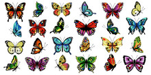 Set Multicolored Butterflies