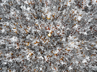 Wat Rong Khun (White Temple), Beautiful famous white temple located in Chiang Rai northern Thailand. Close-up of Many Silver Bodhi leaf hanging on the ceiling.