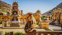 Jaipur Rajasthan India 