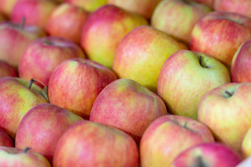 Fresh red apples on the shop counter. Fruits