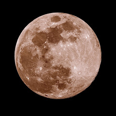 Wall Mural - a full moon isolated against a black night sky in high resolution with fine details on the surface w