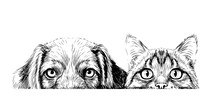 Wall Sticker. Graphic, Artistic, Sketch Drawing Of A Cat And A Dog Looking At A Table On A White Background.