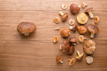 mushrooms on the table. mushrooms closeup