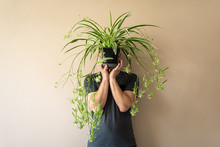 Man Standing In Front Of A Brown (beige) Wall, Holding A Spider Plant In Front Of His Face