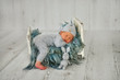 © Oksana - A newborn baby boy is sleeping on a little cot in the first days of life