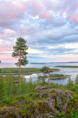 Wall Mural - Aerial view of Colorful sunset landscape on the coast of the North Sea. Karelian pine on the rocks on the shore of the White Sea. Coast Murmansk region, Kandalaksha Nature Reserve.