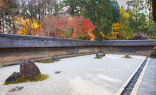 Rock Garden And Colorful Maple Trees In Kyoto, Japan