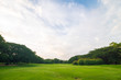 © themorningglory - Public green tree park with pond