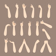 Set Of Forearm And Hand Of Human In Various Gestures