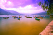Colorful row boats docked on Lake Phewa in Pokhara.