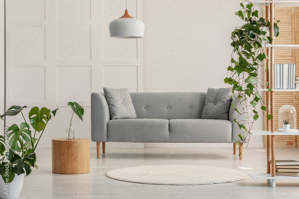 Modern living room interior with gray sofa and wooden coffee table ...