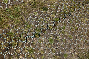 Green hexagon patterns on a sunny walk