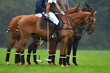 Three polo horses with riders standing on a field in the rain.