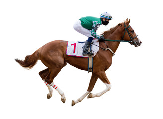 Wall Mural - horse racing jockey isolated on white background