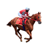 Horse Racing Jockey Isolated On White Background