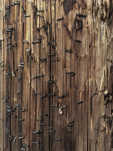 Close Up Pattern Of Staples In A Power Pole