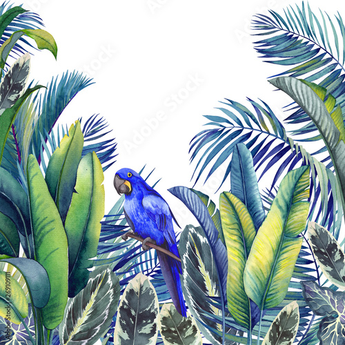 karta-tropikalna-z-papuga-ara-palmami-liscmi-bananowca-i-kalatei-akwarela-ilustracja-na-bialym-tle