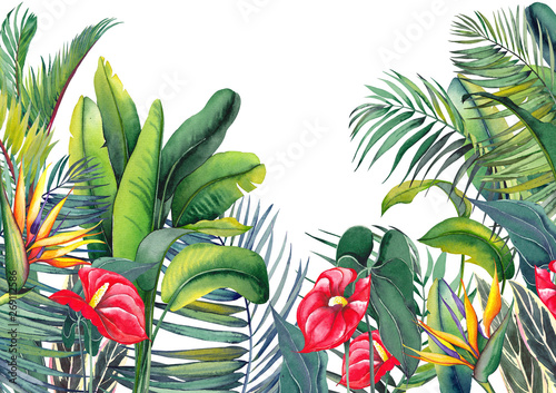 tropikalna-tapeta-z-czerwonymi-kwiatami-flaminga-egzotyczna-strelicja-palmami-i-liscmi-bananowca-akwarela-ilustracja-na-bialym-tle