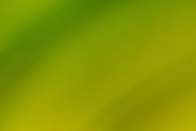 Green, Olive And Yellow Smooth And Blurred Wallpaper / Background