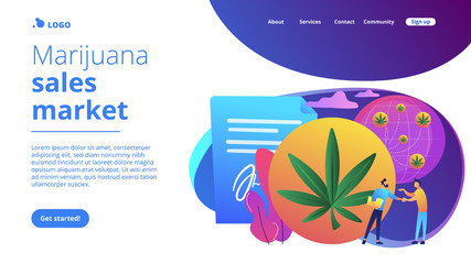 Sticker - Businessmen making a deal on cannabis distribution on globe. Distribution of hemp products, retail cannabis business, marijuana sales market concept. Website vibrant violet landing web page template.