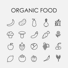 Wall Mural - Simple collection of organic food related line icons.