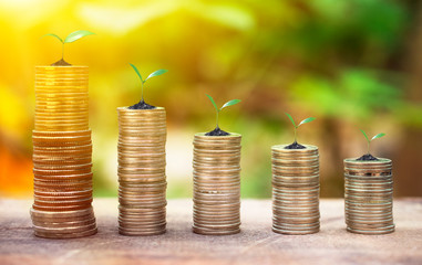 Money coins stack on wood table,Business and Investment growing concept