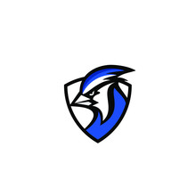 Blue Jay Bird Color Head Mascot Logo Icon Designs Vector Illustration