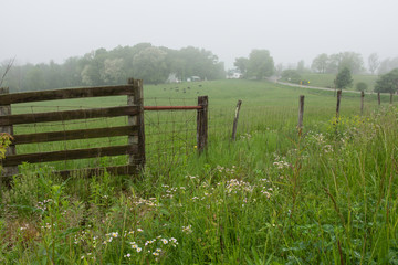 Fenceline on an Appalachian farm