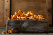 Harvest Of Yellow Forest Mushrooms In Crate, Chanterelles
