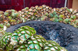 Baking blue agave hearts in ground oven pit, tequila factory