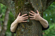 © pixarno - closeup of woman hugging a tree trunk in a forest
