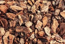 Crushed Tree Bark Texture Background Closeup. Shredded Brown Tree Bark For Decoration And Mulching Or For Playground.
