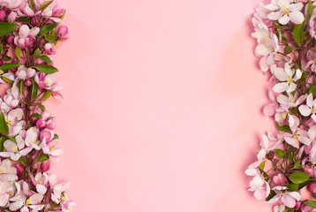 Wall Mural -  frame of pink flowers. apple tree flowers on a pink background with spase for text