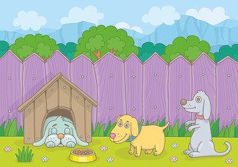 Dogs in yard with green lawn. Funny cartoon and vector illustration