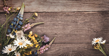 Wild Flowers On Old Grunge Wooden Background (chamomile Lupine Dandelions Thyme Mint Bells Rape)